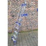 Folding ladders