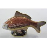 Royal Crown Derby paperweight of a carp with silver stopper L 17 cm