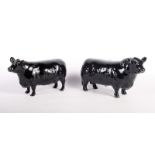 Two Beswick models of Aberdeen Angus bull and cow, approved by the Aberdeen Angus Society