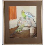 R A Vowles: watercolour and body colours, study of three budgerigars and a bowl of fish, 13 1/2" x