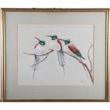 V Shirley: watercolours, study of three carmine bee eaters, 11 1/2" x 14 1/2", in gilt strip frame