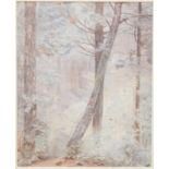 C M 1911: watercolours, woodland scene, 12" x 9 3/4", an early 20th Century School: watercolours,