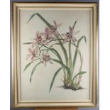 Alan Silan: watercolours, orchids, 25" x 20", in cream and gilt frame, two other framed watercolours