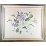 Mary Delaire: watercolour drawing, mauve and white clematis, 17" x 22", in cream and gilt frame, and