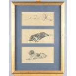 Eighteen Cecil Aldin coloured prints of dogs, in gilt frames