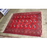 A Bokhara rug decorated three rows of ivory guls on a red ground with three border stripes, 56" x