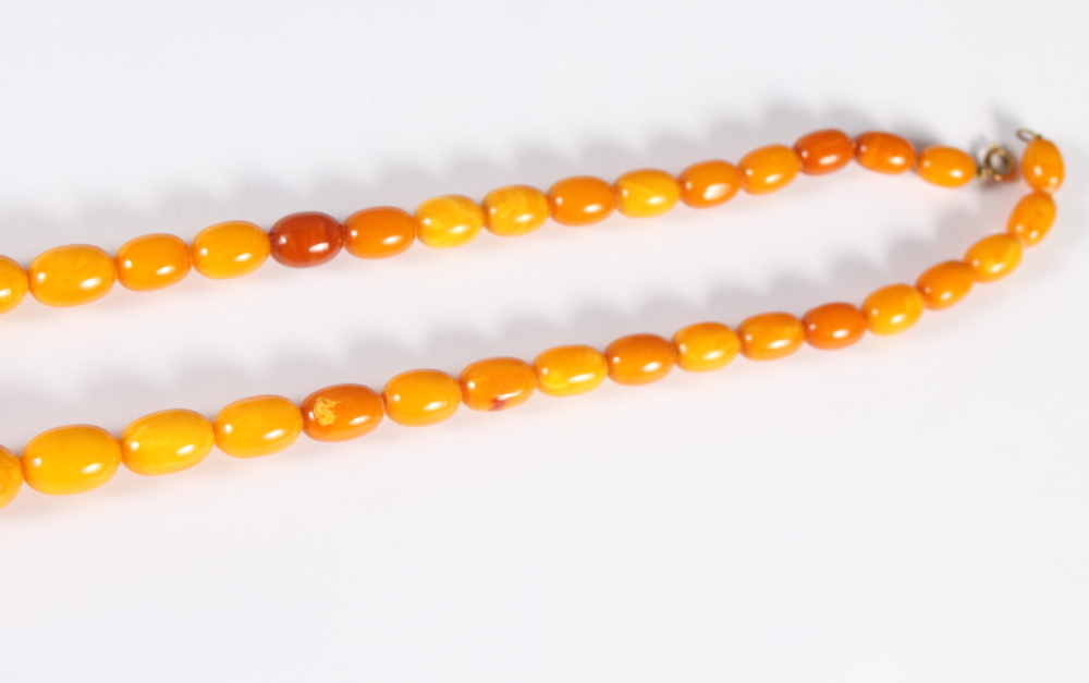 A graduated "egg yolk" amber bead necklace, 31" long, the largest bead 1 1/4" wide, 87.6g - Bild 11 aus 14