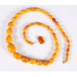 A graduated "egg yolk" amber bead necklace, 31" long, the largest bead 1 1/4" wide, 87.6g