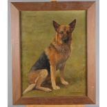 F M Hollams: an oil painting, portrait of a German shepherd dog "Janny", 17 1/2" x 13 1/2", "Poo"