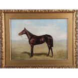 M Collyer, 1893: oil on canvas, "La Fleche", portrait of a racing horse (one of Wildman Cattley's