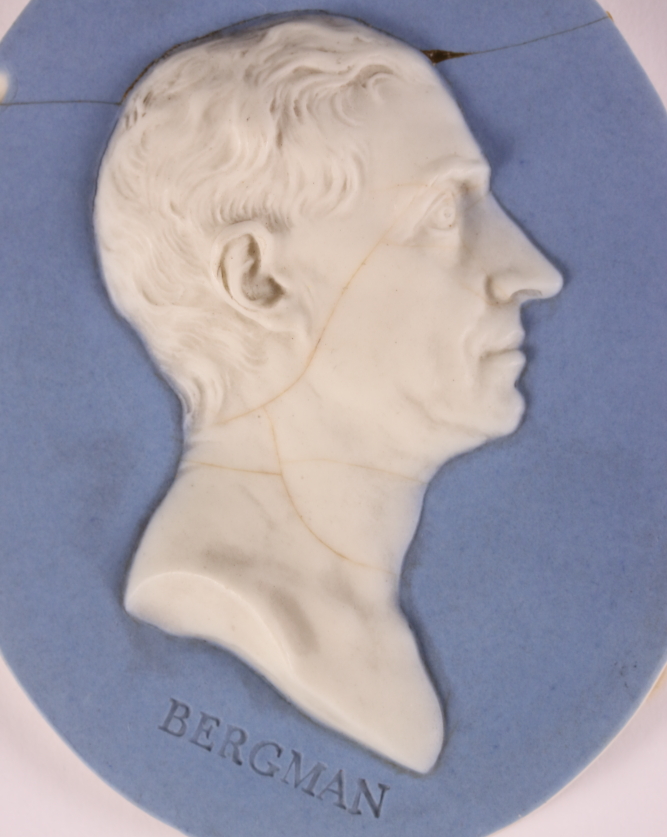 An 18th Century Wedgwood experimental dipped jasper portrait medallion of Tobern Bergman after Johan - Image 3 of 4