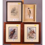Seven assorted coloured prints, birds of prey, and two etchings, landscapes