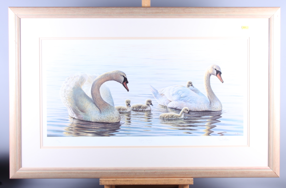 Ian Nathan: a limited edition coloured print of swans, "Royal Family", 570/600, 14" x 27", in