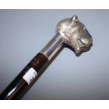 An ebonised walking cane with white metal leopard's head pommel