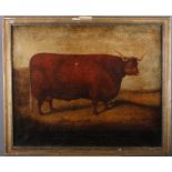 A 19th century primitive oil on canvas, study of a bull, inscribed "This steer aged 3 years 2