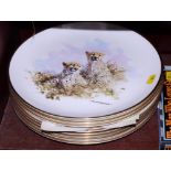 A set of eight Wedgwood David Shepherd Wildlife Collection limited edition plates together with a