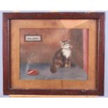 F Walker: body colours, "Passive Resistance", study of a cat with cigarette and an ashtray, 7" x 9