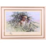 David Shepherd: a signed limited edition colour print, "Cheetah", 732/1500, in gilt frame
