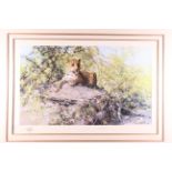 David Shepherd: a signed limited edition colour print, "The Sentinel", 752/1500, in gilt frame