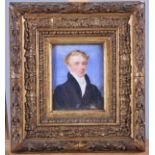 An early 19th century portrait miniature of an unknown gentleman, 2 3/4" by 3 1/4", in gilt frame