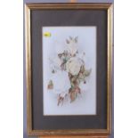 F Dodge: oil on glass, still life of roses, 11" x 9", in gilt frame, and an impasto oil study of a