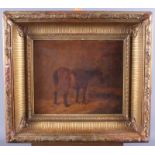 An English mid 19th century oil on canvas, horse in loose box, 9 1/2" x 11 3/4", in deep gilt frame