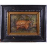 Late 19th Century British School: oil on canvas, folk painting of sheep, 8 1/2" x 12 1/2", in