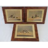 Three framed Henry Alkin 'Cock Fighting' scenes being plates 2, 3 & 4. 23cm x 19.