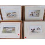 Four late 20th century watercolour studies of livestock featuring chickens (sight size 11.