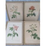 Four framed and coloured floral prints by Redouté. 40cm x 30.