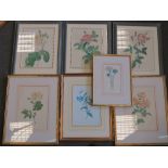 Three late 19th early 20th century hand coloured prints of flowers together with four 20th century