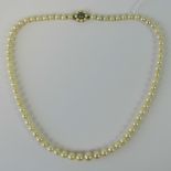 A row of graduated cultured pearls with a 9ct gold clasp,