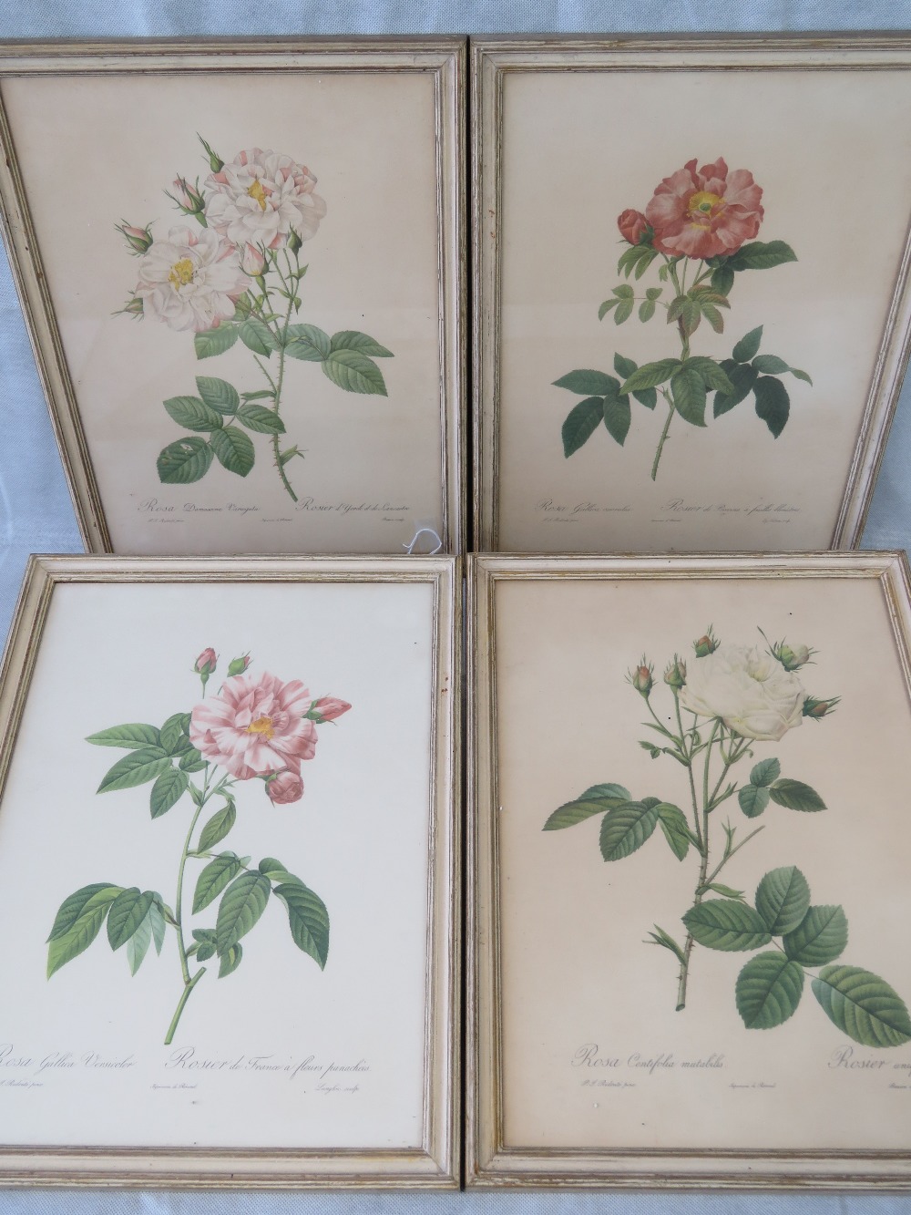 Four framed and coloured floral prints b