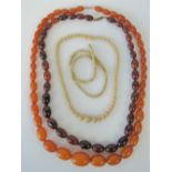 An amber necklace with 9ct gold clasp, graduated oval amber beads, largest 3cm wide, smallest 1.