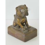 A Continental gilt spelter seated French Bulldog with illuminated (lightbulb) eyes and wired for