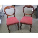 A good pair of 19th century mahogany balloon back dining chairs raised over turned legs.