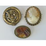 Three vintage brooches including a shell cameo in pierced gilt frame.