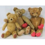 Three vintage teddy bears, two being mohair and jointed. Tallest approx 60cm.