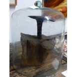 AN ANTIQUE RUSTIC IRON ANVIL MOUNTED IN WOODEN STUMP AND DISPLAYED WITH A LARGE GLASS DOME. 47CM