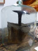 AN ANTIQUE RUSTIC IRON ANVIL MOUNTED IN WOODEN STUMP AND DISPLAYED WITH A LARGE GLASS DOME. 47CM