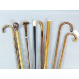 A GROUP OF 19TH/20TH CENTURY WALKING STICKS TO INCLUDE SILVER AND IVORY MOUNTED EXAMPLES (8)