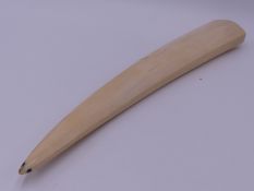 A FINELY WORKED INUIT WALRUS TUSK OF PLAIN FORM WITH FLATTENED EDGES THE TIP INSET WITH ABALONE