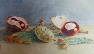 SIX 19TH CENTURY STILL LIFE AND CARICATURE DRAWINGS, WATERCOLOUR AND PEN AND INK, VARIOUS SIZES