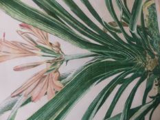 DAVID SHAW, A TROPICAL LILY, COLOUR LITHOGRAPH, PENCIL SIGNED, 55 X 58CM