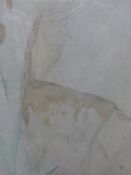 (ARR) GEORGE SHERINGHAM, STUDY OF ANTELOPE, SIGNED, WATERCOLOUR AND CRAYON, 49 X 36CM