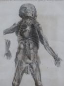 AFTER F BERNIE, TWO LATE 18TH CENTURY ANATOMICAL PRINTS