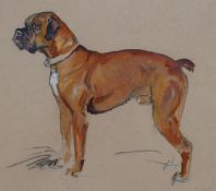 MICHAEL LYNE (1912-1989), STUDY OF A BOXER DOG WATERCOLOUR, 21 X 22CM