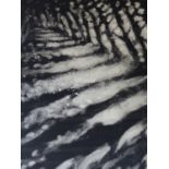 (ARR) BILL JACKLIN, INTO THE WOOD II, 2000, MONOTYPE, SIGNED, 71 X 57CM