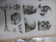 GROUP OF 18TH CENTURY AND LATER PRINTS RELATING TO ANATOMY, UNFRAMED
