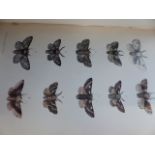 MORRIS' BRITISH MOTHS, REV. MORRIS, NIMMO, LONDON, THIRD EDITION, 4 VOLS.